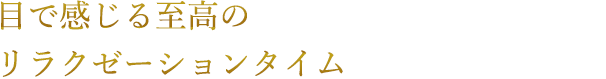 目で感じる至高のリラクゼーションタイム